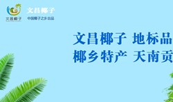 南海網(wǎng)文昌椰子品牌專題報(bào)道