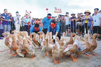 海南：各市縣農(nóng)民豐收節(jié)趣味游園活動慶豐收