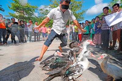 陵水：農民技能趣味大賽，讓農民們樂開了花